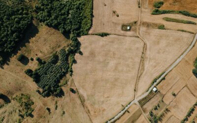 Desistência de Lote Permite Retenção de Taxa de Fruição
