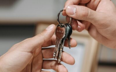 Título público como nova garantia em contratos de locação